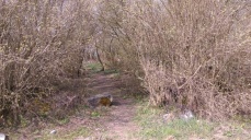 Złotków